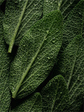 Load image into Gallery viewer, BOLAB Prebiotic Cooling Spray - Arden Skincare 